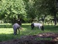 IMGP2785.JPG